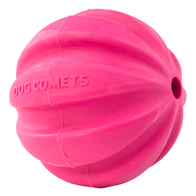 Dog Comets Ball Halley Roze    
