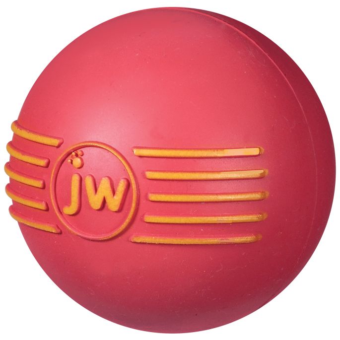 JW Isqueak Ball L 10 cm    