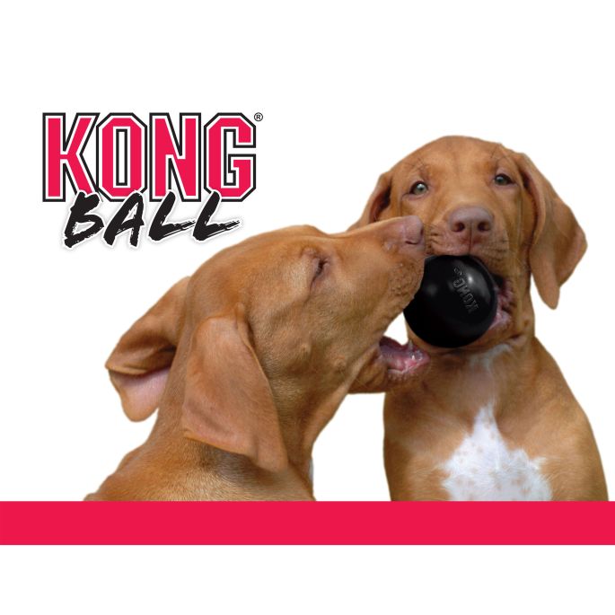 KONG Ball Extreme M/L 7,6 cm    