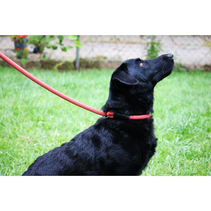 KONG Rope leash One Size Red    