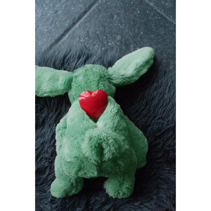 Cozy Dog Bunny Green    