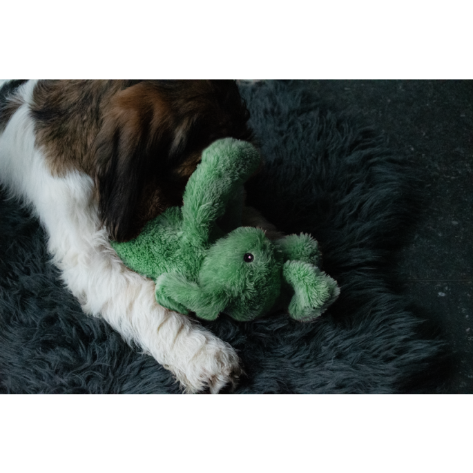Cozy Dog Bunny Green    