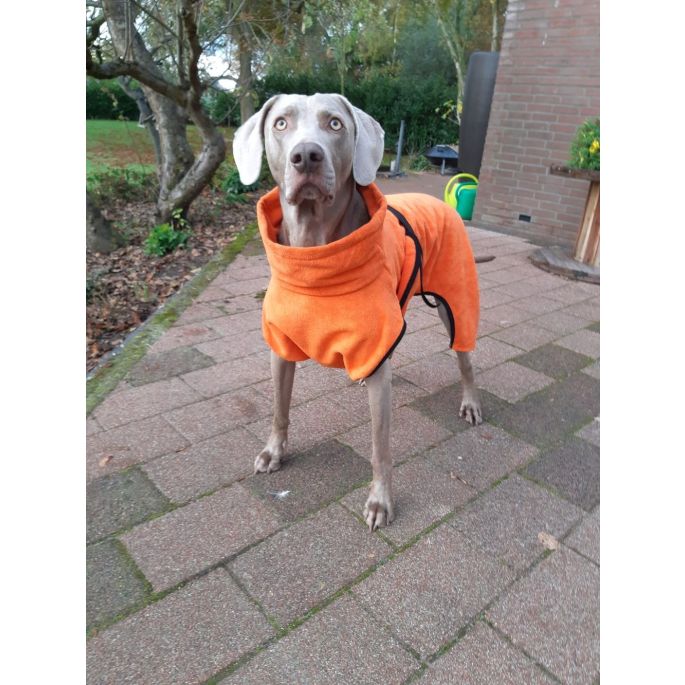 Toobster hondenbadjas oranje M - Ruglengte 28 cm 