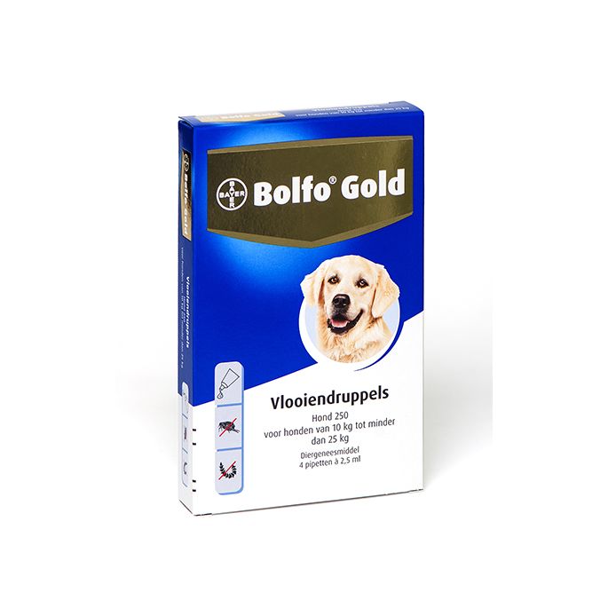 Bolfo Gold Hond 250 > 4 Pipet. Verpakking: 1 st.