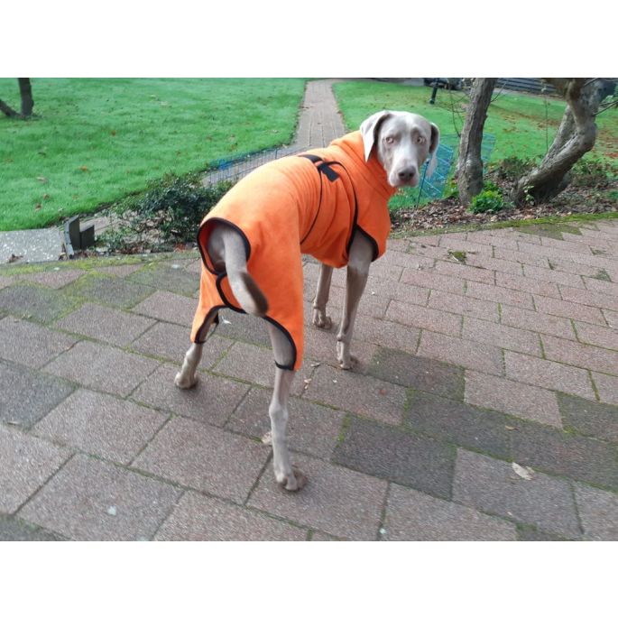 Toobster hondenbadjas oranje S- Ruglengte 23 cm 