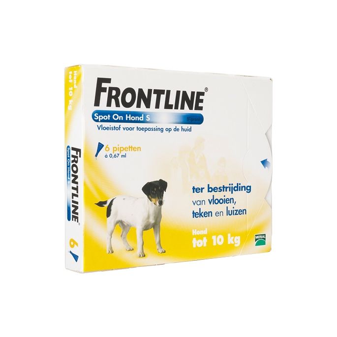 Wissen Tablet morgen Frontline Spot On Hond
