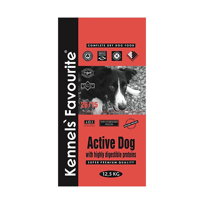 Kennels Favourite Active Dog