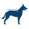 Badjas voor honden - Toobster - Rood