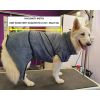 Badjas voor honden - Toobster - Grijs