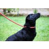 KONG Rope leash One Size Blue    