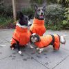 Badjas voor honden - Toobster - Oranje (uitlopend)