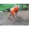 Toobster hondenbadjas oranje M - Ruglengte 28 cm 