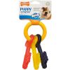 Nylabone Puppy Teething Keys S . Verpakking: 1st. tot 12 kg
