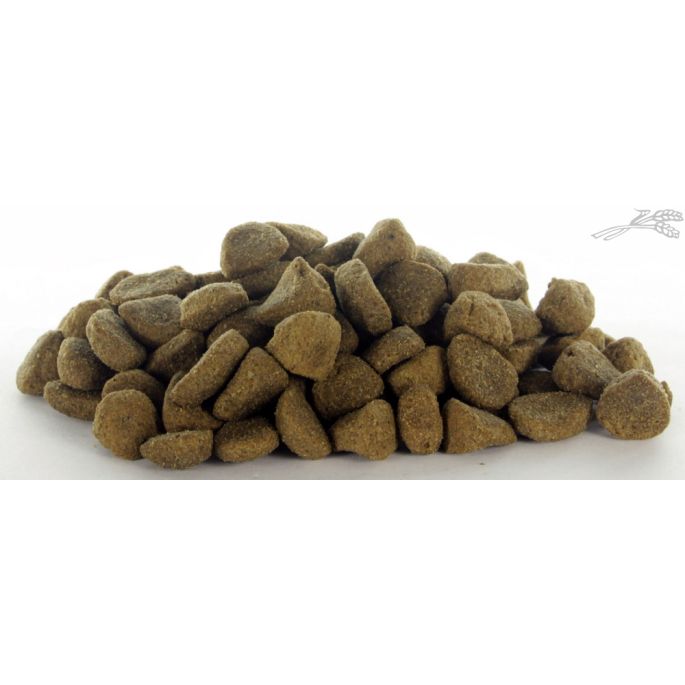 it's My Dog Fresh Salmon Grain Free 15 kg