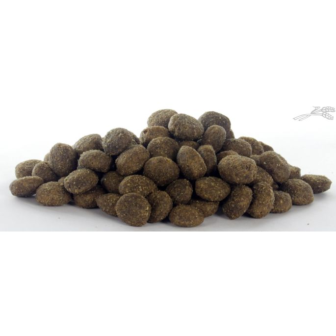 it's My Dog Active 12,5 kg