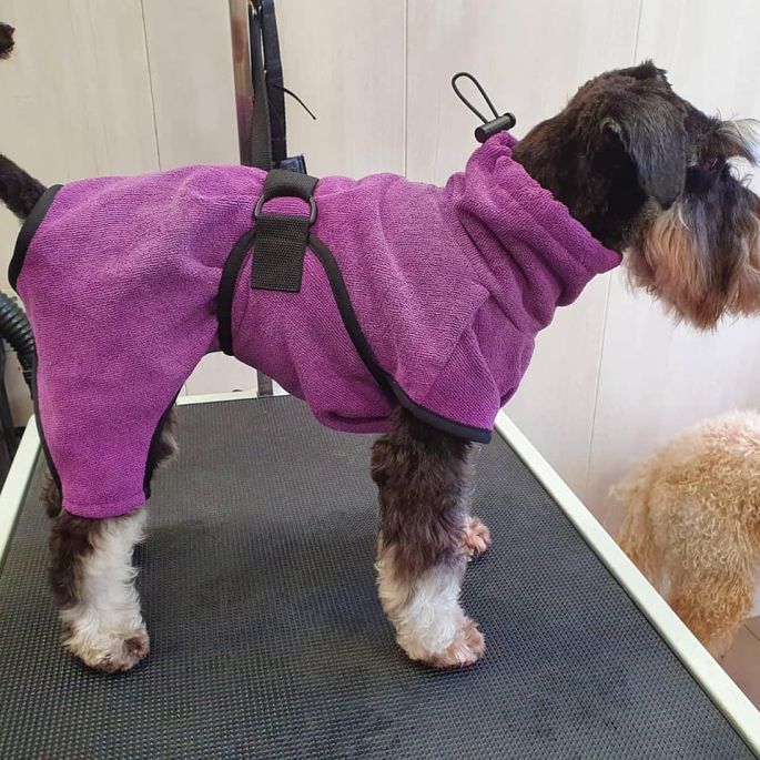Badjas voor honden - Toobster - Paars