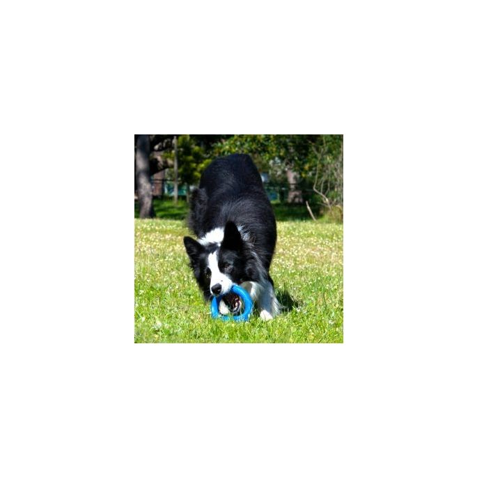 Rogz Pop-Upz Blue Med/Large