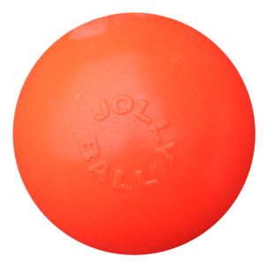 Jolly Ball Bounce-n Play 11cm Oranje (Vanillegeur)    