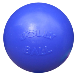 Jolly Ball Push-n-Play 25cm blauw    