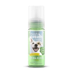 Fresh Breath OralCare Foam