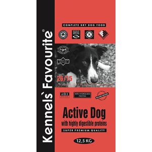 Kennels Favourite Active Dog