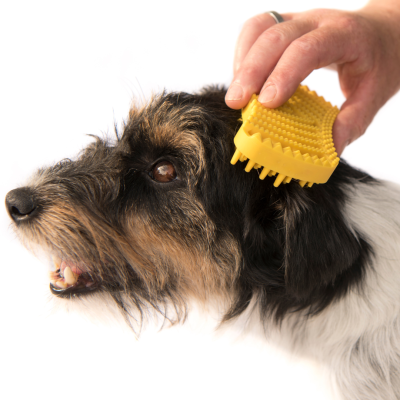 Met deze handige tips kun jij het beste voor de vacht van je hond zorgen